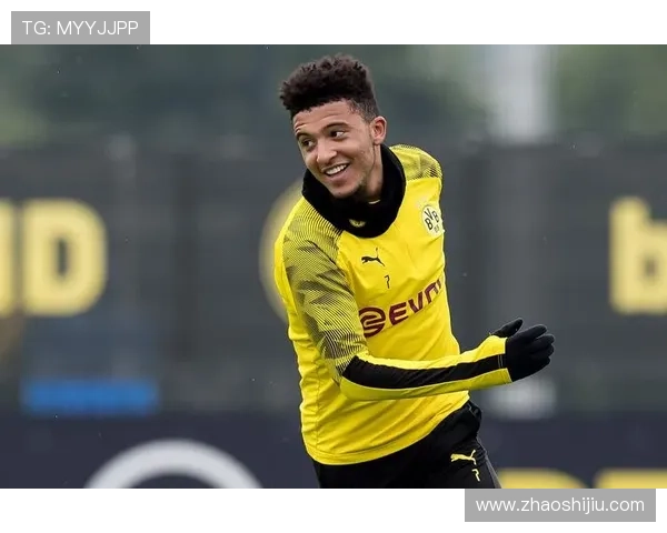 普鲁士多特蒙德俱乐部:历史荣耀与未来挑战并肩前行