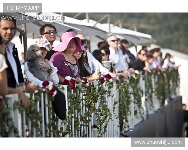 聚焦赛场风云:最新网球赛事动态全面深度权威多角度解析报道